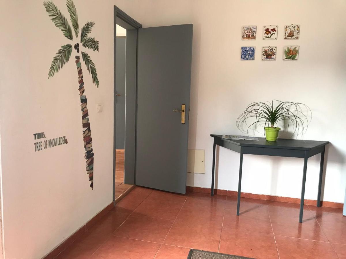 Casa Vista Do Ledo Villa Arco da Calheta  Ngoại thất bức ảnh